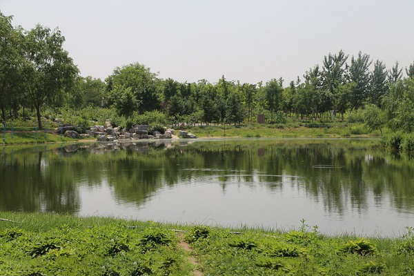 <b>湖水處理設備</b>